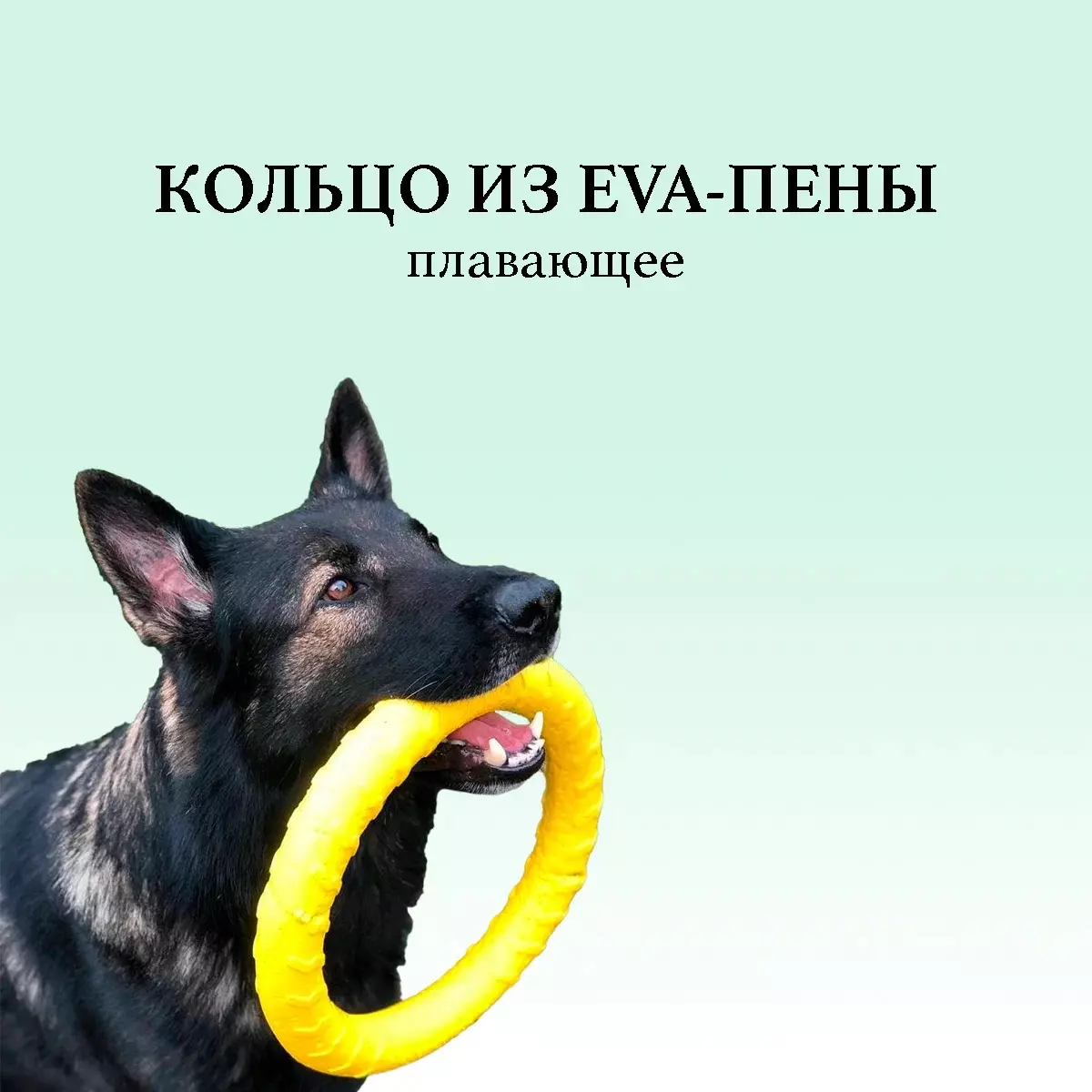 Кольцо для собак из Eva-пены Biteforce