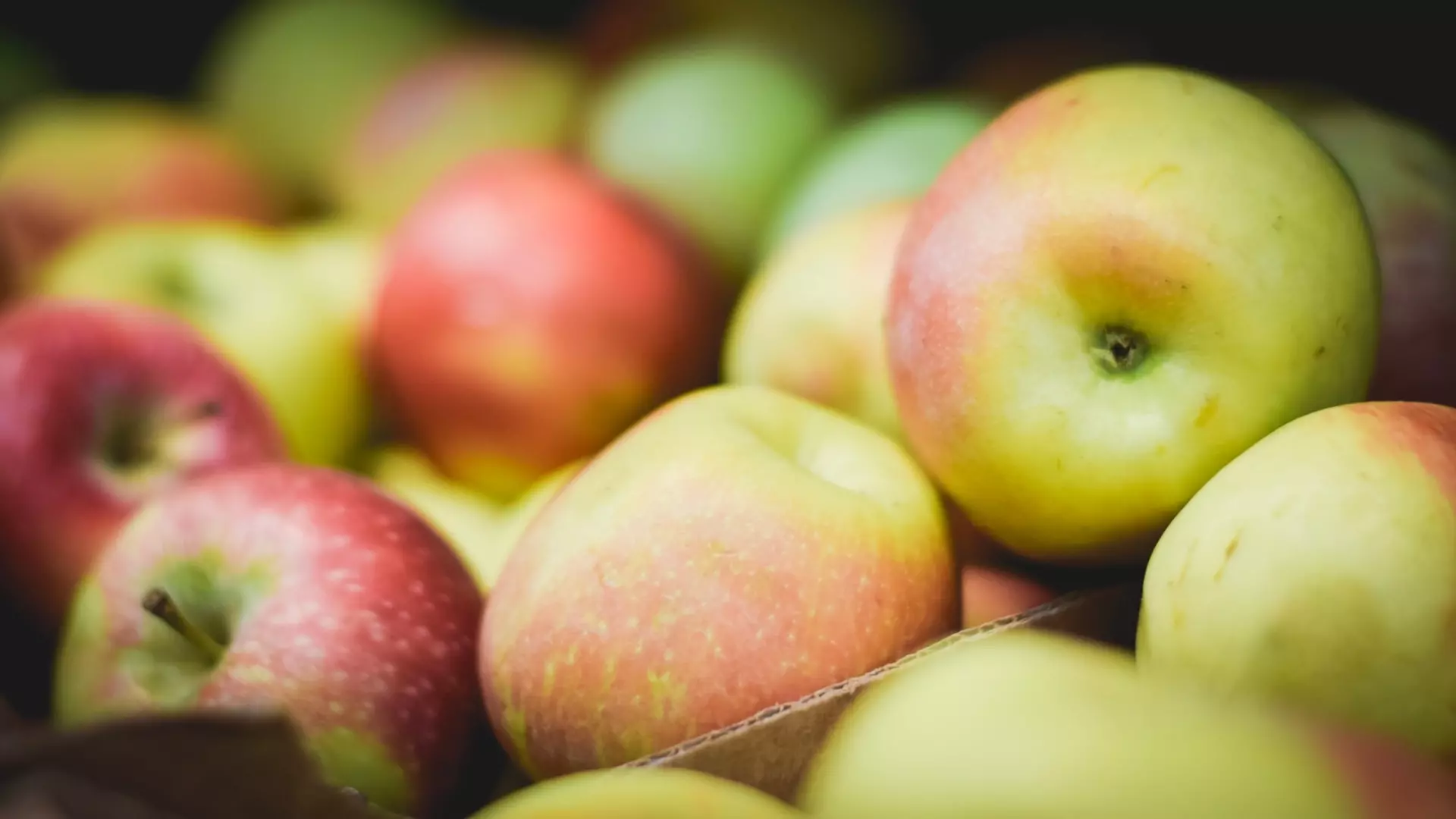 Доставка 1 килограмма свежих яблок на орбиту обходится в 1,5 млн рублей